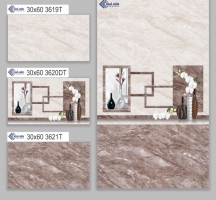 GẠCH ỐP TƯỜNG 30X60 3619T