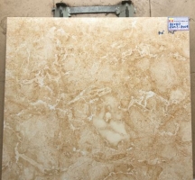 GẠCH LÁT NỀN CATALAN BÓNG KIẾNG TOÀN PHẦN 800X800 8009