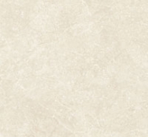 Đá bóng mờ Đồng Tâm DTD 8080 Napoleon 001