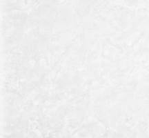 Gạch Prime 40x40 PR40-114