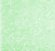 Gạch Prime 40x40 PR40-115