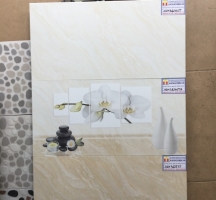 Gạch ốp tường Mikado 3625CT