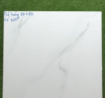 ĐÁ BÓNG KIẾNG 60X60 LÁT NỀN NHÀ CHO THUÊ
