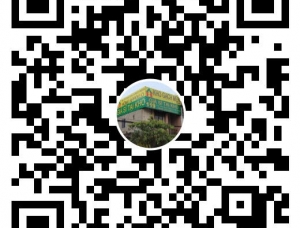 Liên Kết zalo & Viber