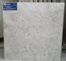 GẠCH MỜ NHÁM 60X60 KH 6605