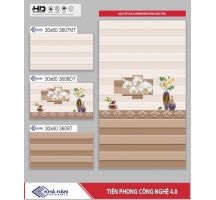 GẠCH ỐP TƯỜNG 30X60 3607T