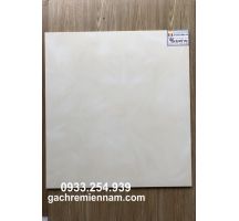 GẠCH LÁT NỀN 60X60 PRIME 9075