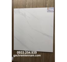 GẠCH LÁT NỀN 60X60 PRIME 9112