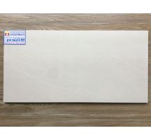 GẠCH ỐP TƯỜNG 30X60 VIGLACERA BS3627