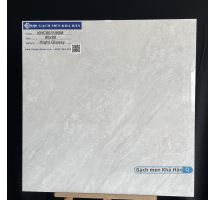 Gạch bóng kiếng GranyLite 80x80 KHC80319BM 