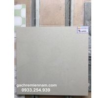 GẠCH Ý MỸ 60X60 P66004