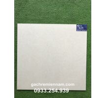 GẠCH TASA 60X60 STN6501