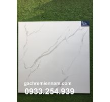 GẠCH 80X80 TASA 8501 GIÁ RẺ