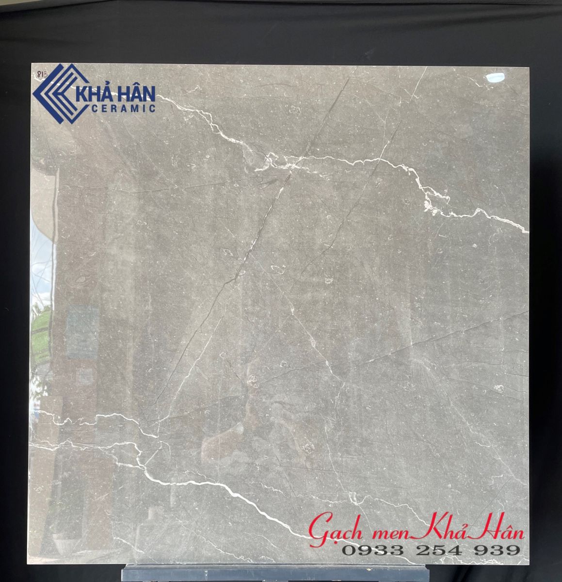 gạch Ấn Độ 80x80 Scaphive tại Việt Nam 