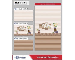 GẠCH ỐP TƯỜNG 30X60 3607T