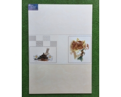 GẠCH ỐP TƯỜNG 30X60 TASA 2014