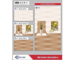 GẠCH ỐP TƯỜNG 30X60 3601T