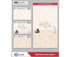 GẠCH ỐP TƯỜNG 30X60 3611T