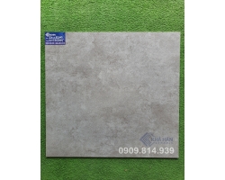 Gạch mờ 60x60 Viglacera 662005
