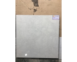 ĐÁ BÓNG KIẾNG 60X60 VIGLACERA KH-67002