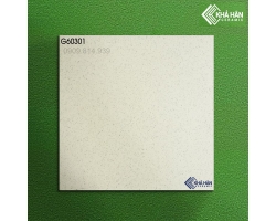 Gạch muối tiêu đồng chất 60x60 KHPG60301