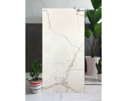 NHÀ PHÂN PHỐI  GẠCH ỐP TƯỜNG 60X120 NHẬP KHẨU