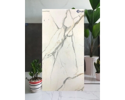 Nơi phân phối gạch cao cấp 60x120 nhập khẩu