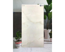 Nhà phân phối gạch cao cấp 60x120 nhập khẩu
