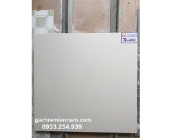 GẠCH Ý MỸ 60X60 P67007