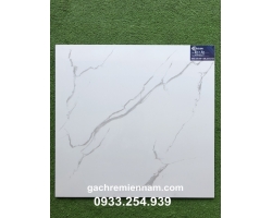 GẠCH LÁT NỀN 60X60 TASA STN6503