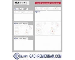 GẠCH ỐP TƯỜNG 30X60 3600T