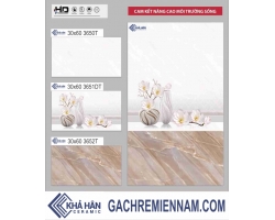 GẠCH ỐP TƯỜNG 30X60 3652T