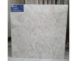 GẠCH MỜ NHÁM 60X60 KH 6605