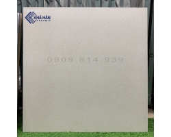 ĐÁ MỜ 60X60 TRUNG ĐÔ KH6646VN